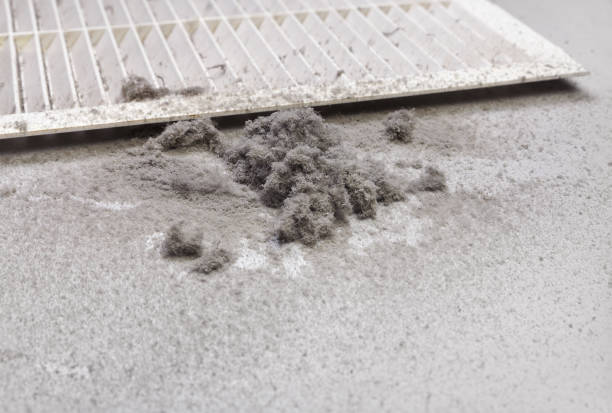 Best Air Duct Sanitizing Services  in Mar Mac, NC
